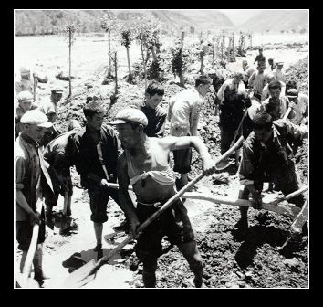 �鿴���ྫ�ʈDƬ