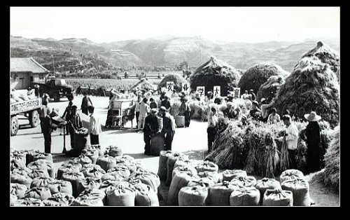 �鿴���ྫ�ʈDƬ