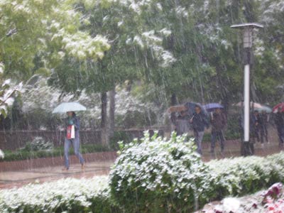 7�����������y�Ѕ^(q��)�����Zë��ѩ