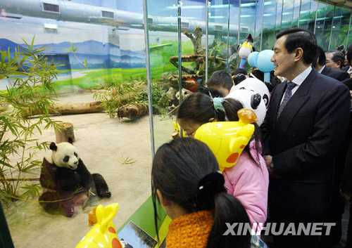 �@���_(t��i)����(d��ng)���I(l��ng)��(d��o)���RӢ���cС���т�һ���^������؈�����A��l(f��)