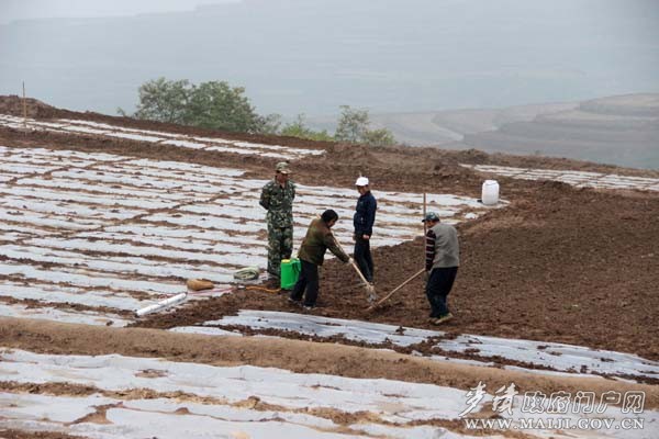 IMG_0518 ����.jpg