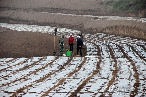 IMG_0521 ����.jpg