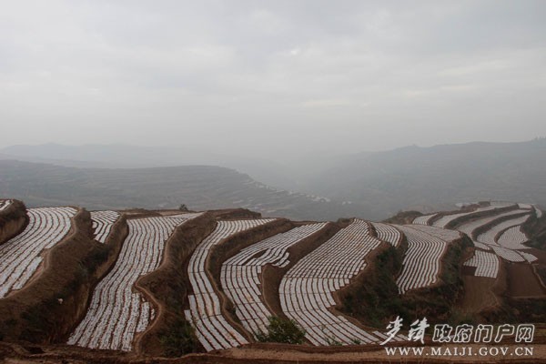 IMG_0540 ����.jpg