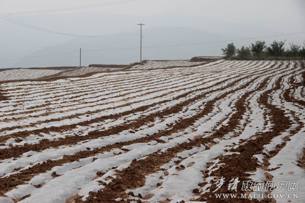 IMG_0542 ����.jpg